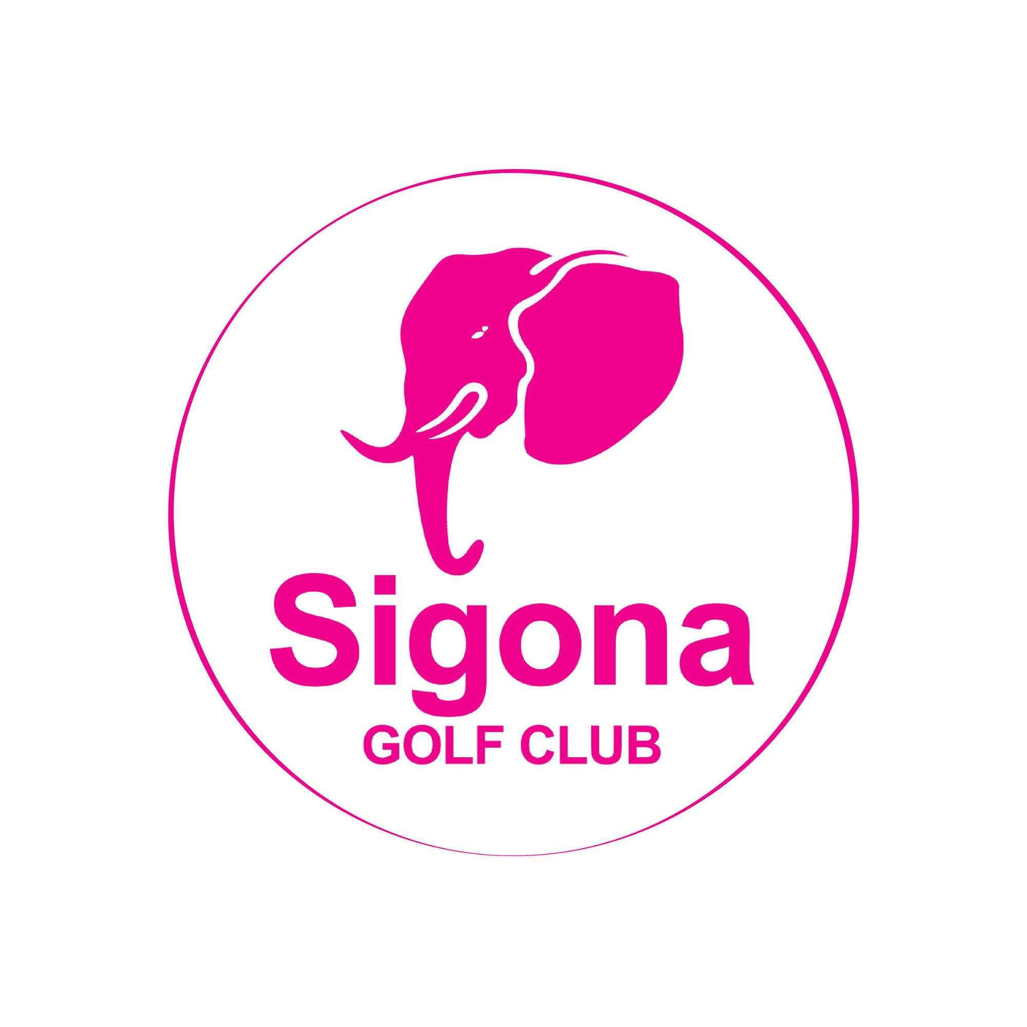 Partner Logo 1